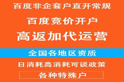 搜索引擎营销（SEM）的精准投放技巧案例